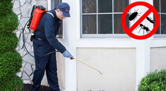 Boğazlıyan Hamam Böceği İlaçlama böcek ilaçlama ve haşere kontrolü — ilaclama-tr.com